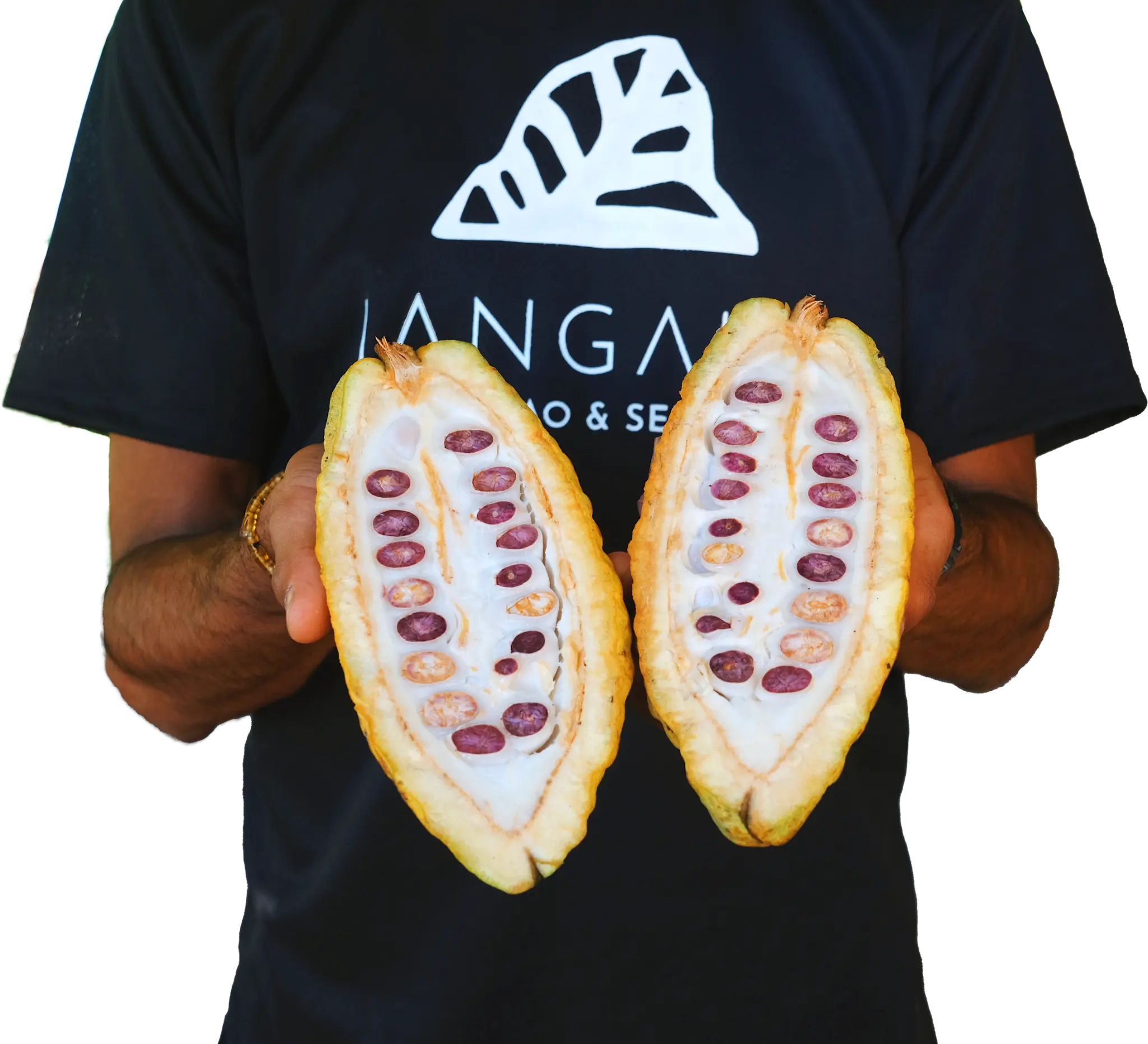 Person wearing a black T-shirt with white logo holding two long halved fruits or pastries with red seeds inside; the shirt reads JANGALA Cacao & Selva.